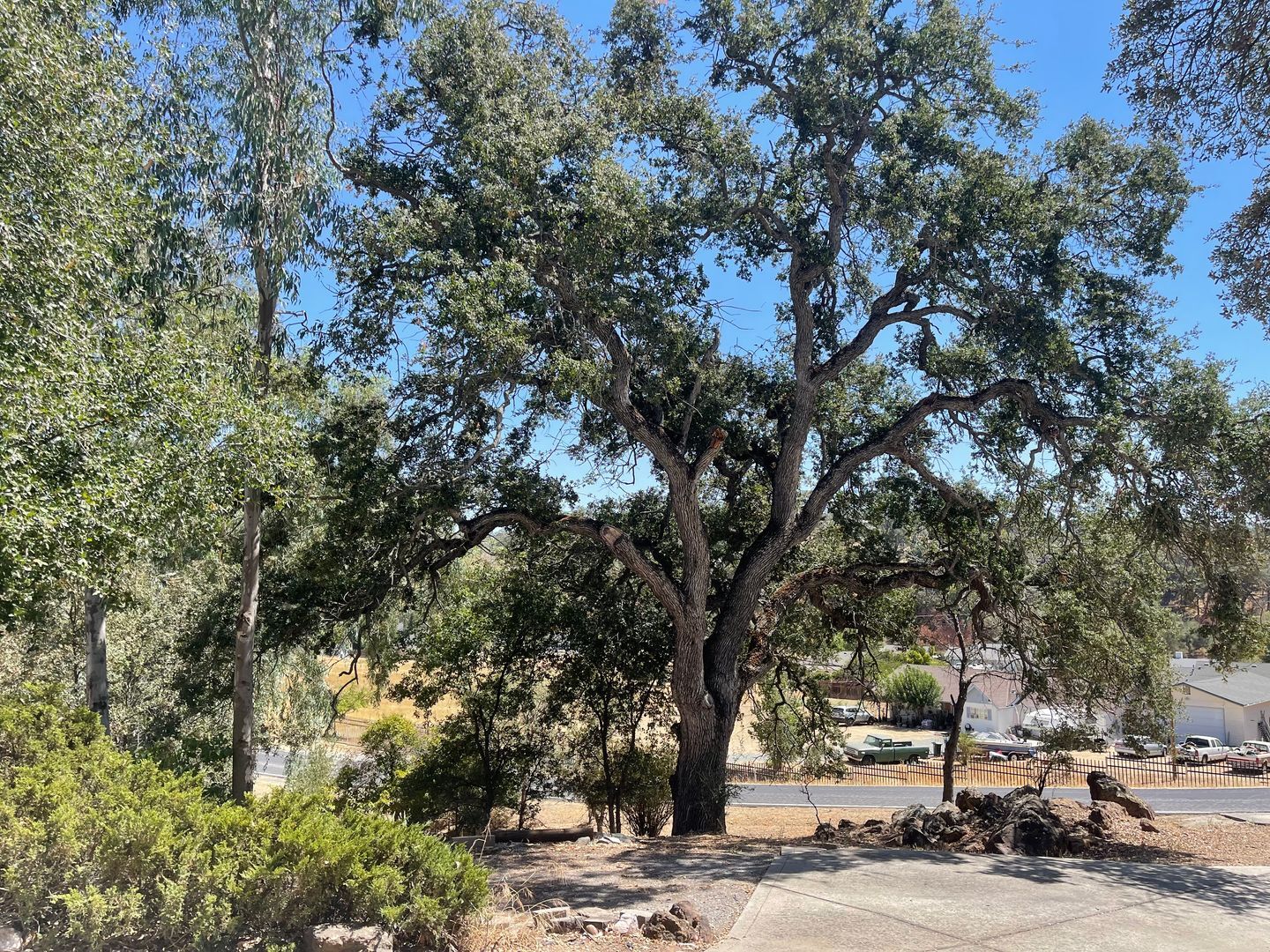 7469 Gabor Street - Valley Springs - California - 4 bed, 2.5 bath rental property