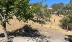 7469 Gabor Street - Valley Springs - California - 4 bed, 2.5 bath rental property