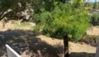 7469 Gabor Street - Valley Springs - California - 4 bed, 2.5 bath rental property