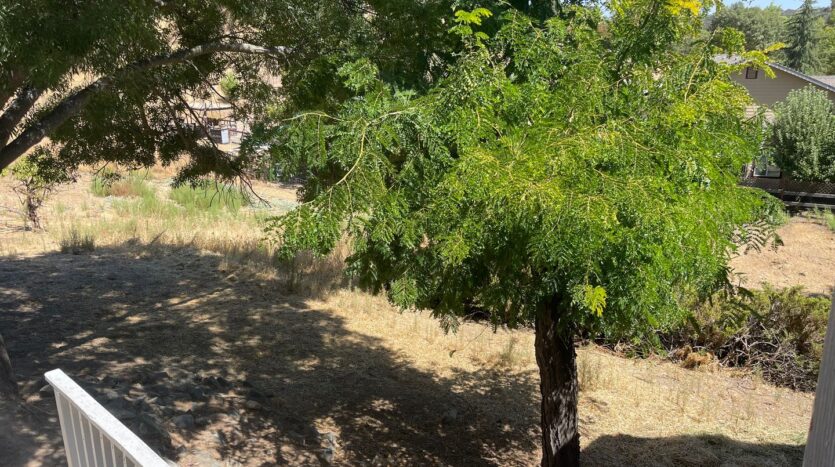7469 Gabor Street - Valley Springs - California - 4 bed, 2.5 bath rental property
