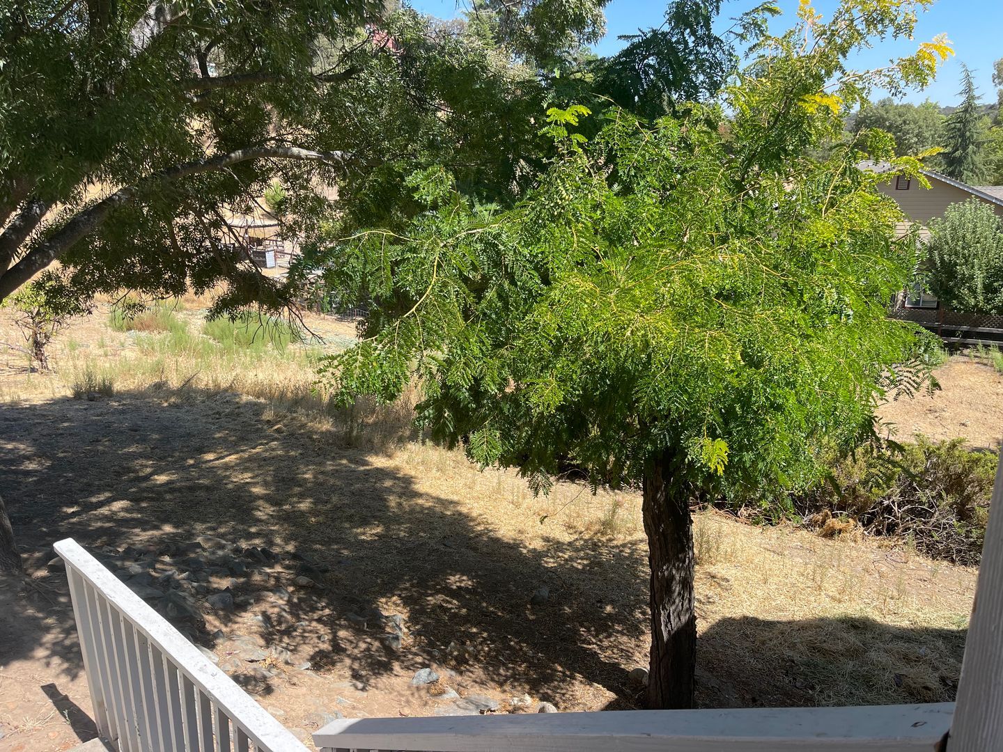 7469 Gabor Street - Valley Springs - California - 4 bed, 2.5 bath rental property