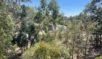 7469 Gabor Street - Valley Springs - California - 4 bed, 2.5 bath rental property