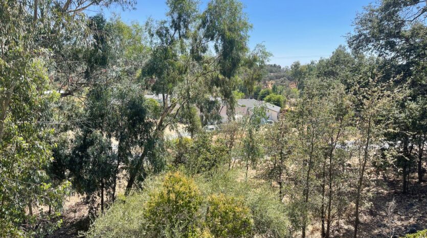 7469 Gabor Street - Valley Springs - California - 4 bed, 2.5 bath rental property