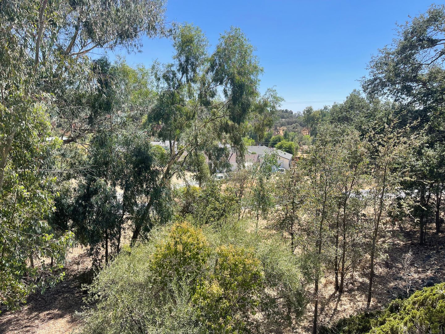 7469 Gabor Street - Valley Springs - California - 4 bed, 2.5 bath rental property