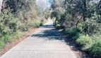 8043 Caminito De Pizza Unit B - San Diego - California - 1 bath rental property