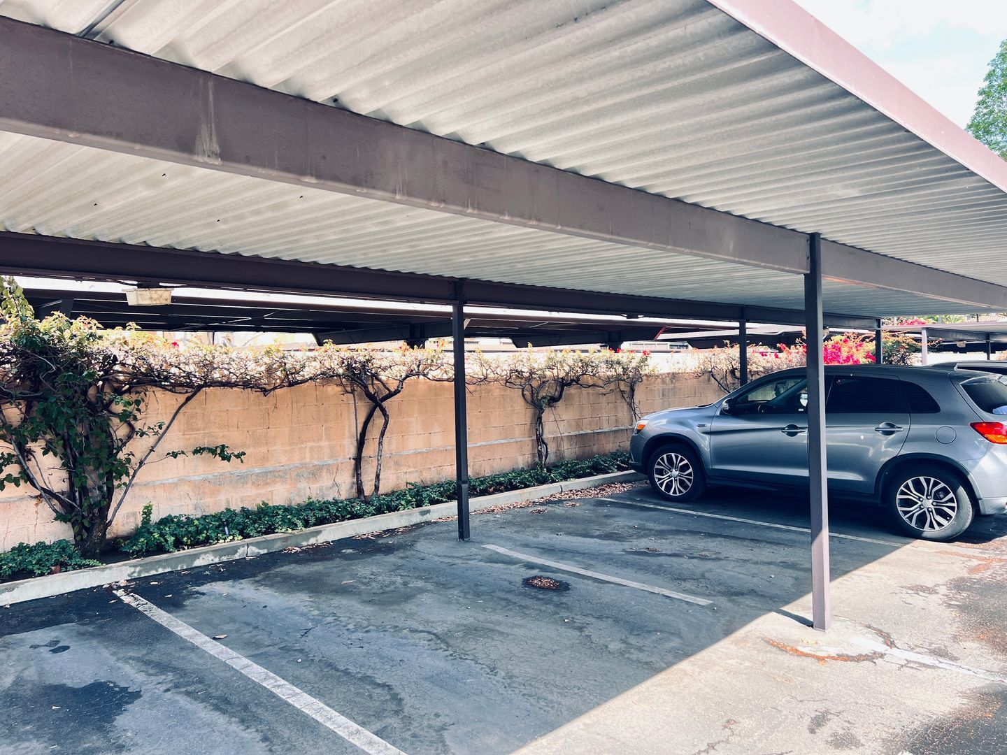 8043 Caminito De Pizza Unit B - San Diego - California - 1 bath rental property