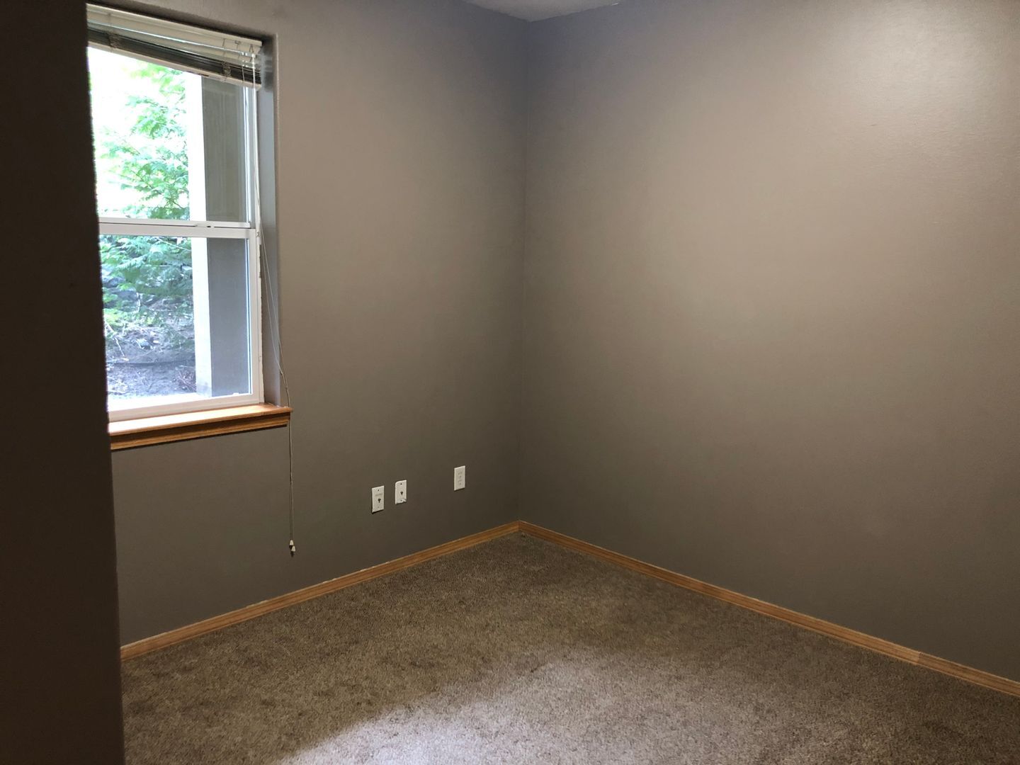 1007 High Street #103 - Bellingham - Washington - 3 bed, 2 bath rental property