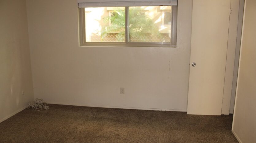 1027 Felspar Street  #5 - San Diego - California - 1 bed, 1 bath rental property