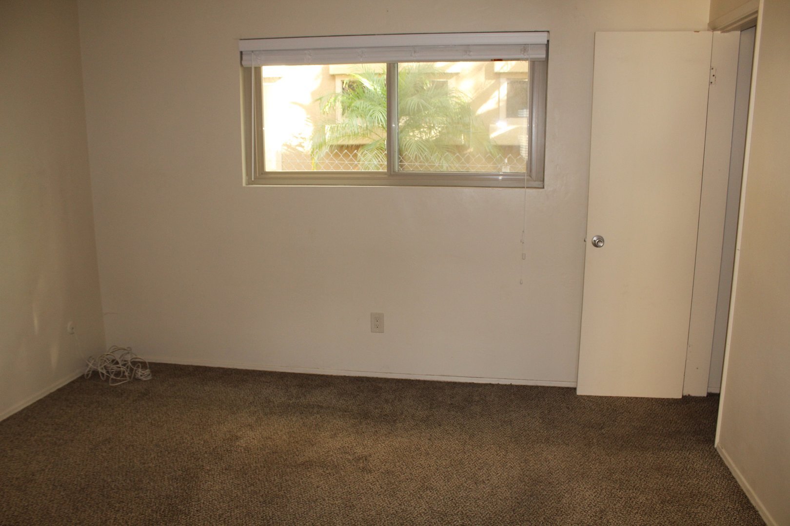 1027 Felspar Street  #5 - San Diego - California - 1 bed, 1 bath rental property