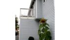 1121 Humboldt St - Bellingham - Washington - 3 bed, 2 bath rental property
