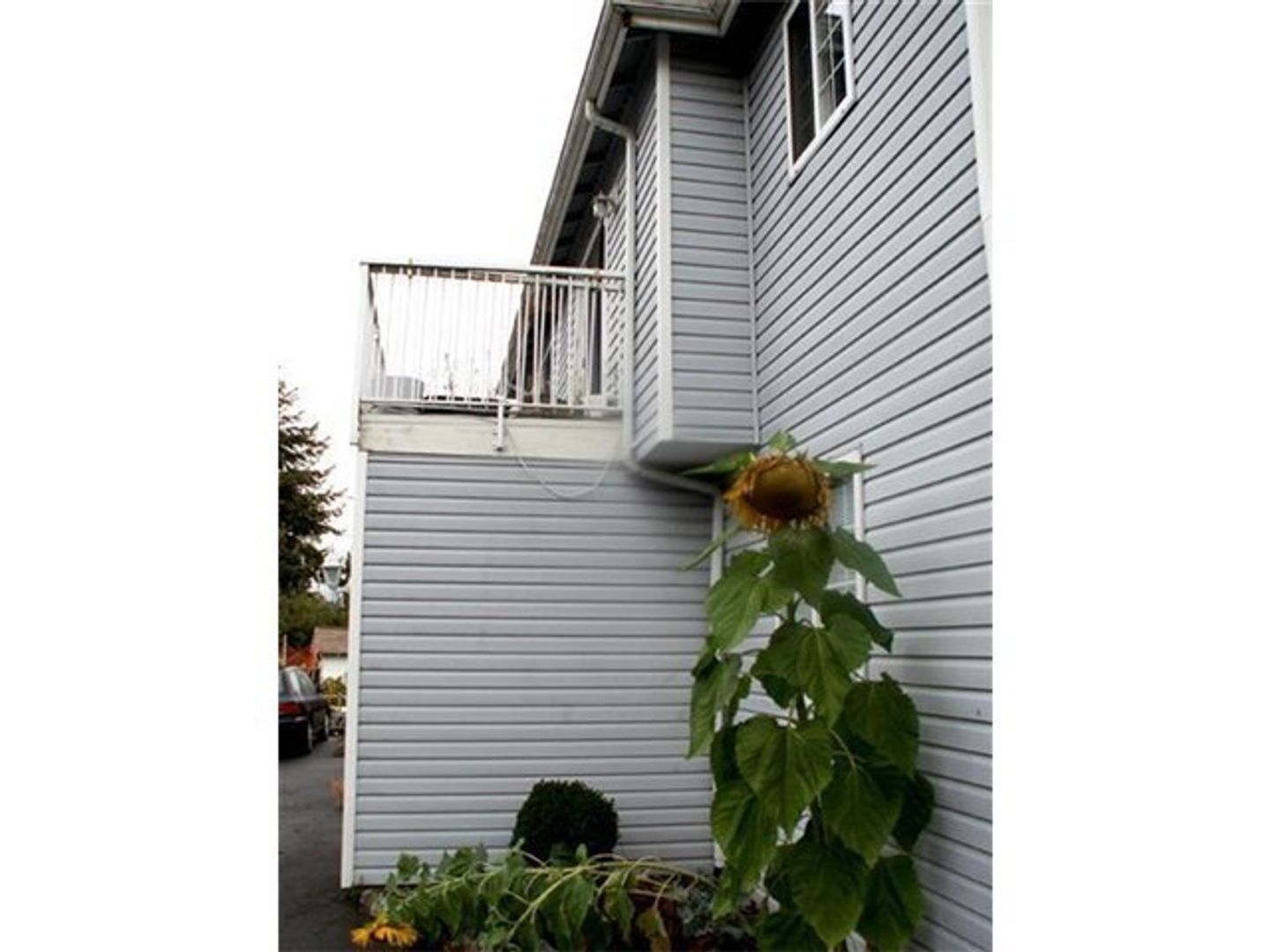 1121 Humboldt St - Bellingham - Washington - 3 bed, 2 bath rental property