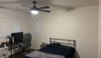 1190 S. Winery Ave.  #234 - Fresno - California - 2 bed, 1 bath rental property