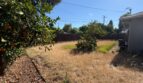 130 Brady Ct - Sacramento - California - 3 bed, 2 bath rental property