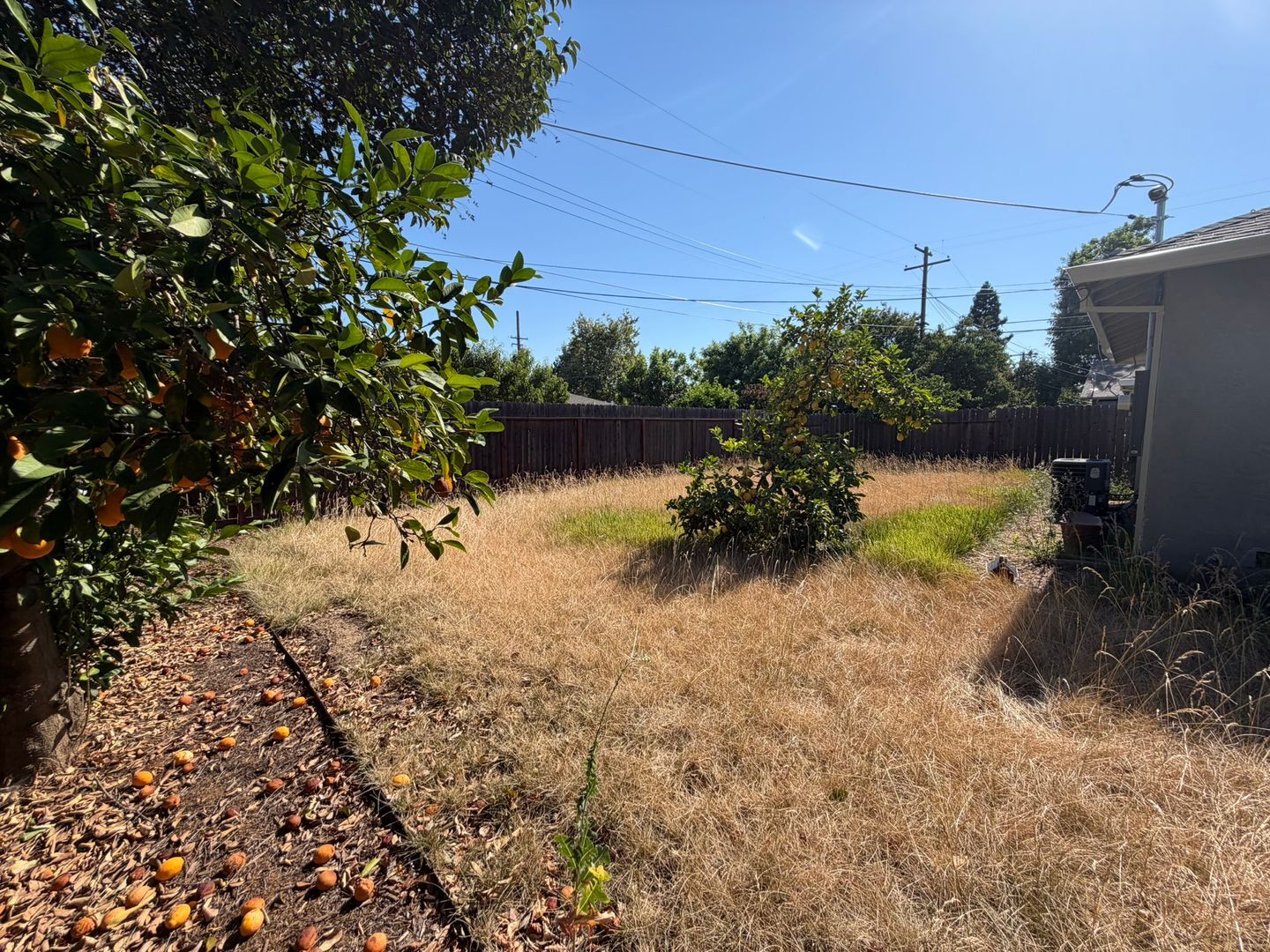 130 Brady Ct - Sacramento - California - 3 bed, 2 bath rental property