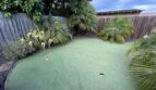 14062 Corvallis Street - San Leandro - California - 3 bed, 1.5 bath rental property