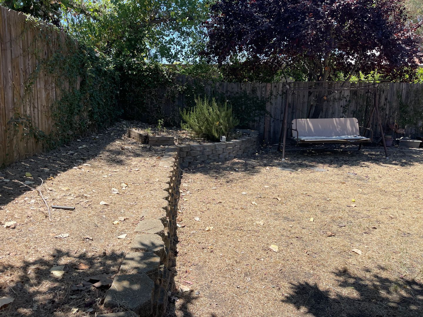 143 Goldenwest Court - Valley Springs - California - 3 bed, 2 bath rental property