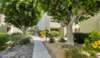 1655 E Palm Canyon Dr. Unit 408 - Palm Springs - California - 1 bed, 1 bath rental property