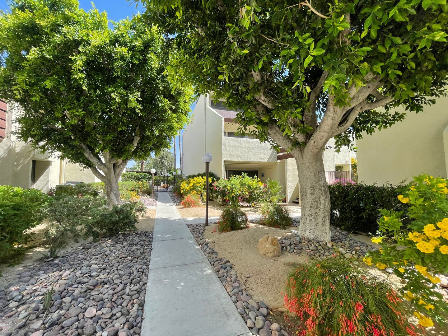 1655 E Palm Canyon Dr. Unit 408 - Palm Springs - California - 1 bed, 1 bath rental property