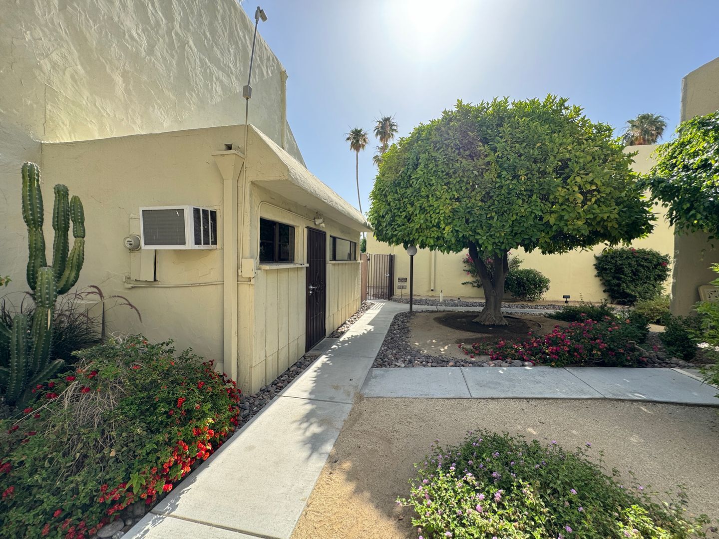 1655 E Palm Canyon Dr. Unit 408 - Palm Springs - California - 1 bed, 1 bath rental property