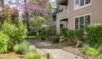 205 SW Montgomery St.  #204 - Portland - Oregon - 2 bed, 2 bath rental property
