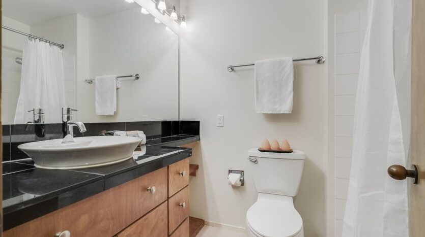 205 SW Montgomery St.  #204 - Portland - Oregon - 2 bed, 2 bath rental property
