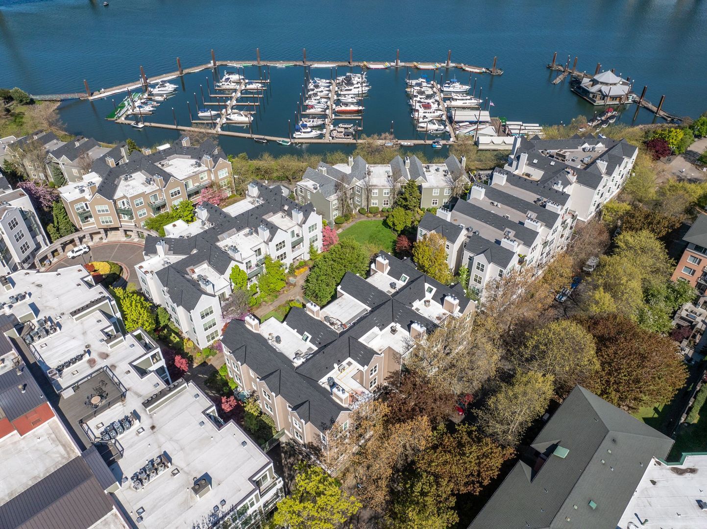 205 SW Montgomery St.  #204 - Portland - Oregon - 2 bed, 2 bath rental property