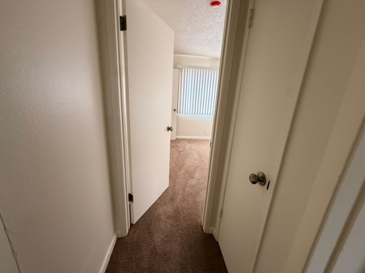 29163 Dixon Street - Hayward - California - 3 bed, 1.5 bath rental property