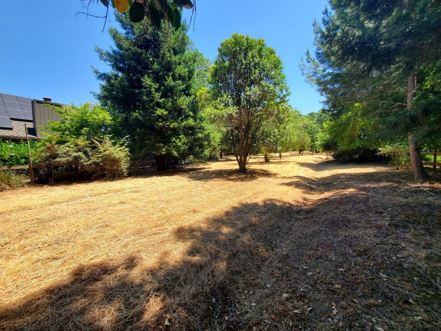 3113 Lippizaner Lane - Walnut Creek - California - 4 bed, 2 bath rental property