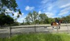3113 Lippizaner Lane - Walnut Creek - California - 4 bed, 2 bath rental property