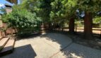 3113 Lippizaner Lane - Walnut Creek - California - 4 bed, 2 bath rental property