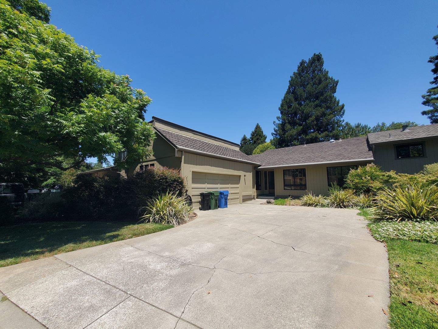 3113 Lippizaner Lane - Walnut Creek - California - 4 bed, 2 bath rental property
