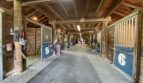 3113 Lippizaner Lane - Walnut Creek - California - 4 bed, 2 bath rental property