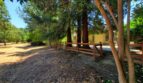 3113 Lippizaner Lane - Walnut Creek - California - 4 bed, 2 bath rental property