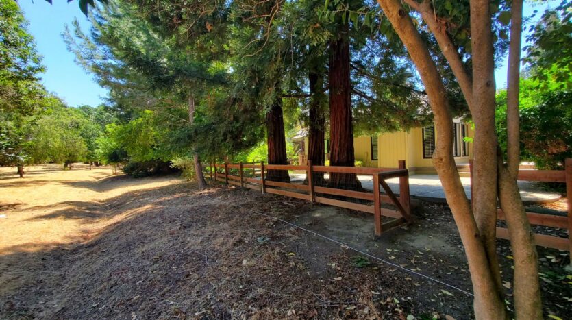 3113 Lippizaner Lane - Walnut Creek - California - 4 bed, 2 bath rental property