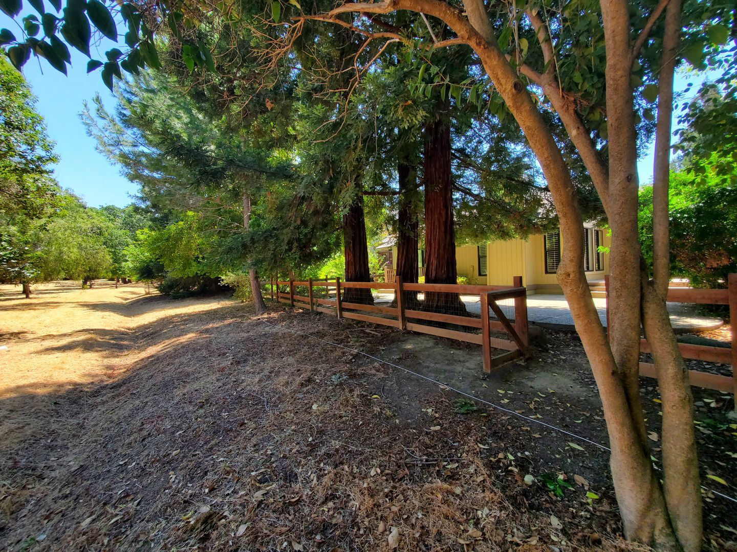 3113 Lippizaner Lane - Walnut Creek - California - 4 bed, 2 bath rental property