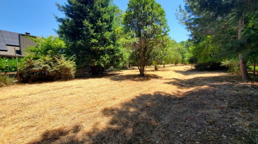 3113 Lippizaner Lane - Walnut Creek - California - 4 bed, 2 bath rental property