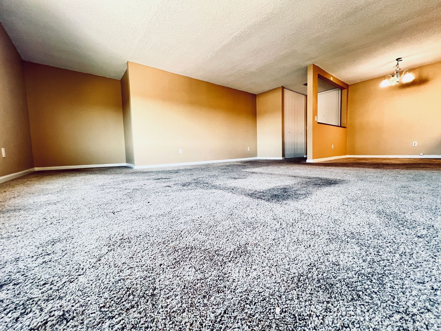 3431 Park Blvd #404 - San Diego - California - 1 bed, 1 bath rental property