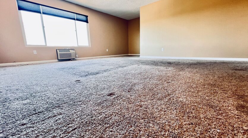 3431 Park Blvd #404 - San Diego - California - 1 bed, 1 bath rental property