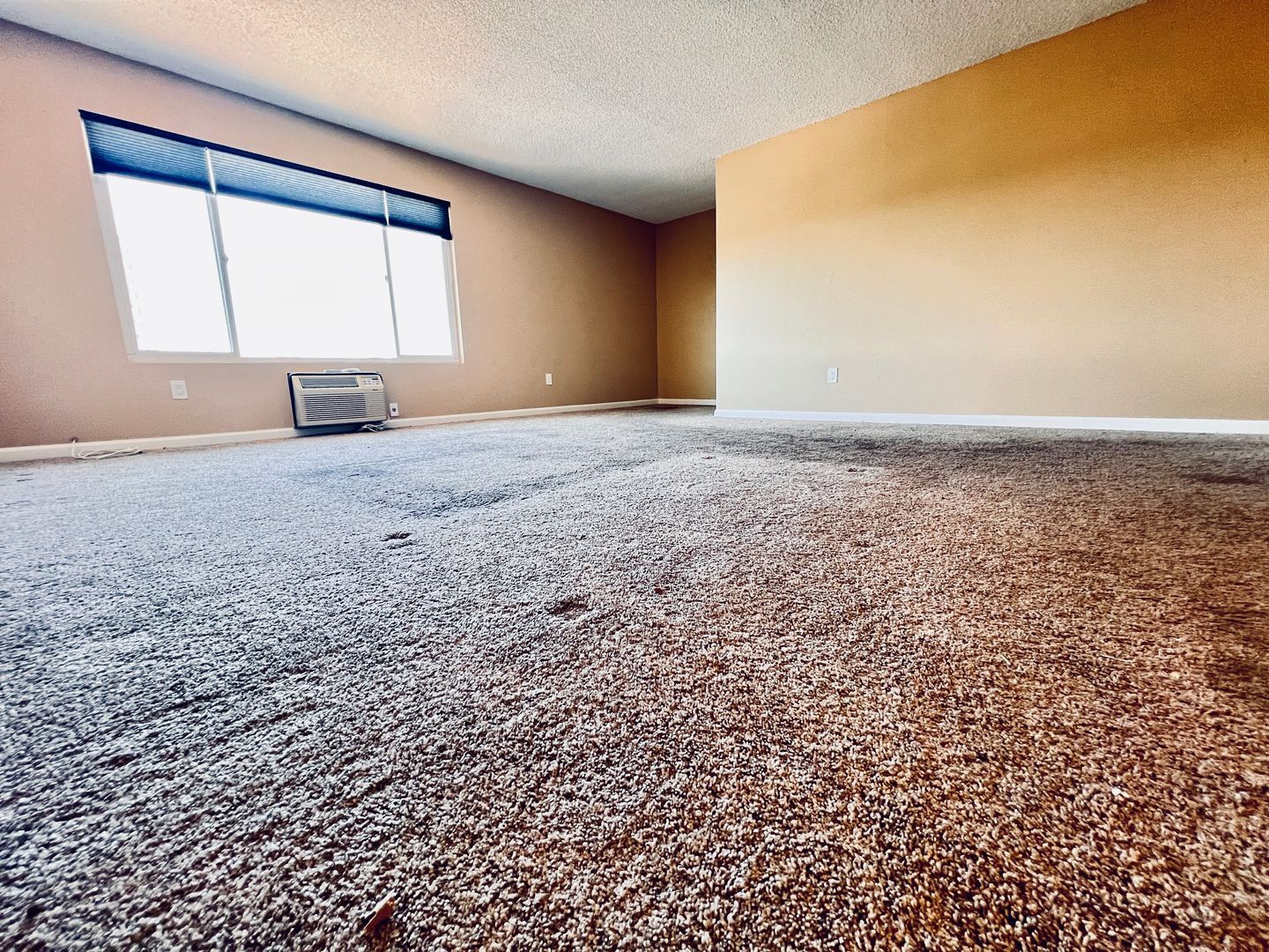 3431 Park Blvd #404 - San Diego - California - 1 bed, 1 bath rental property