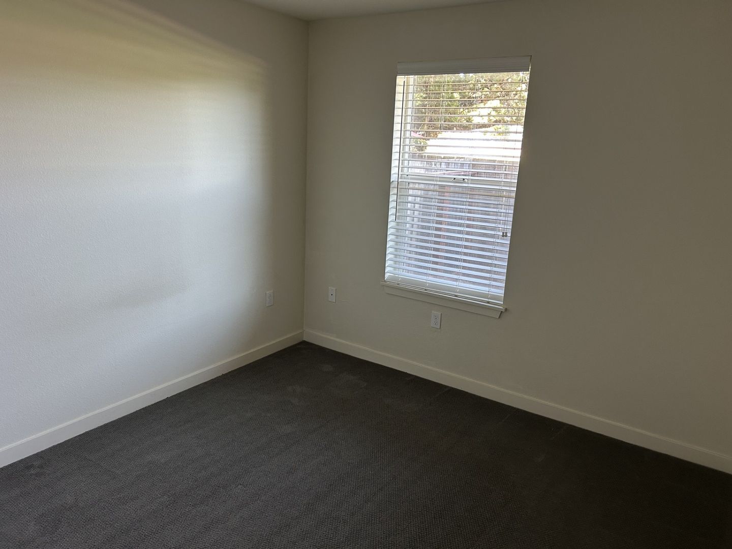 445 Southwest Blvd. #8 - Rohnert Park - California - 2 bed, 1 bath rental property