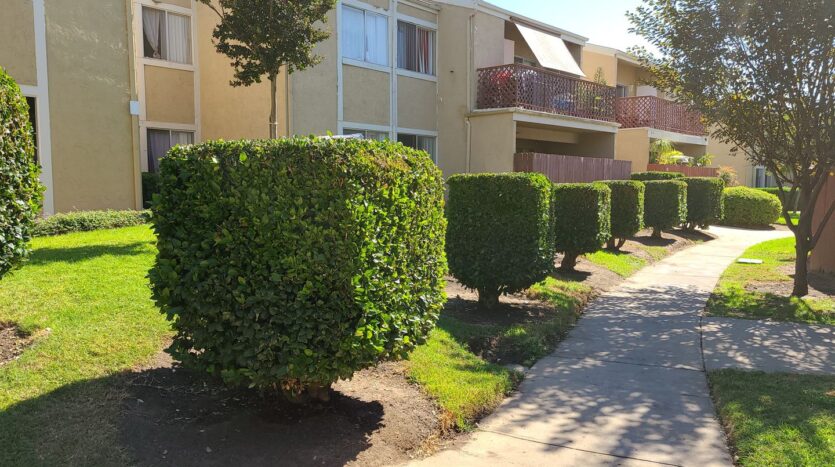 475 N. Midway Unit #114 - Escondido - California - 3 bed, 2 bath rental property