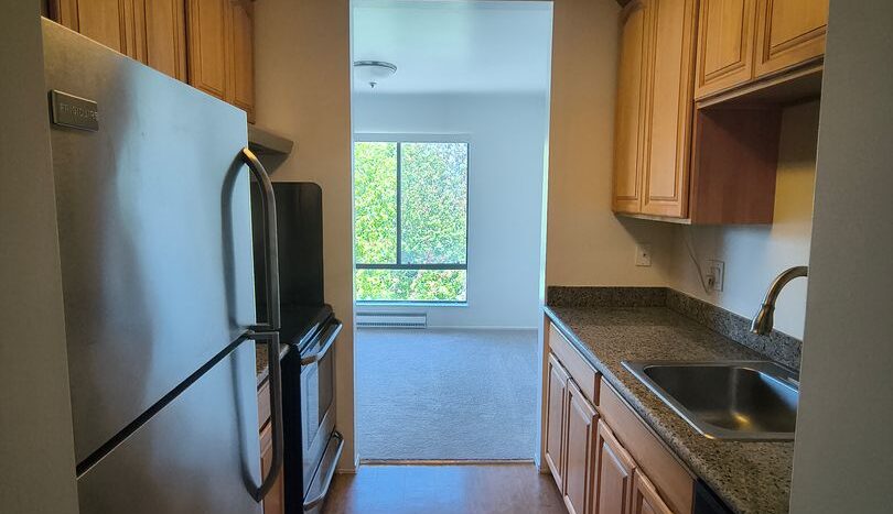 5 Commodore Drive #412 - Emeryville - California - 1 bed, 1 bath rental property