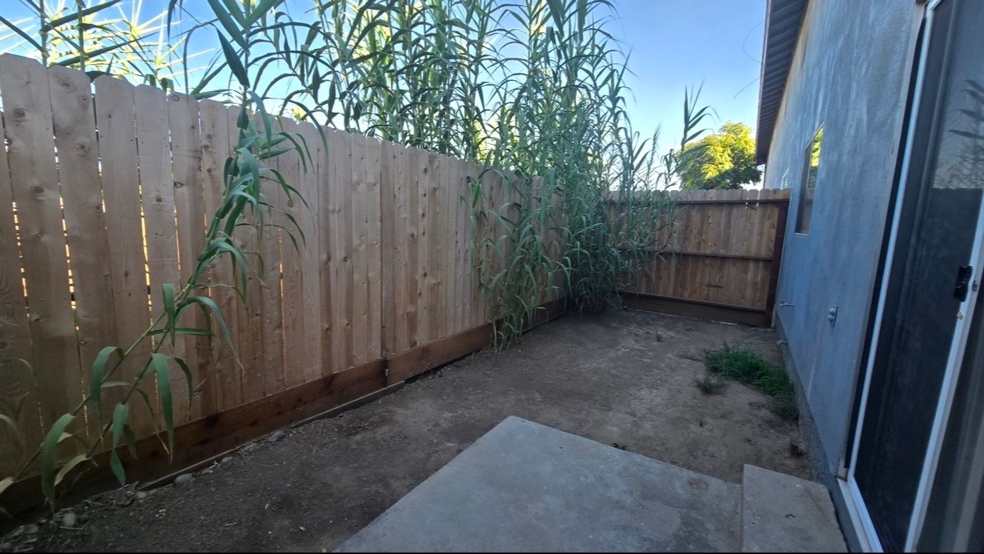 709 East Houston Avenue  14 - Visalia - California - 2 bed, 1 bath rental property