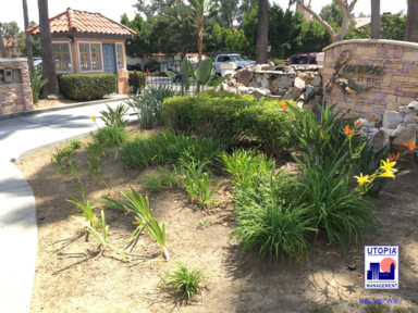 7120 Shoreline Drive #2108 - San Diego - California - 2 bed, 2 bath rental property