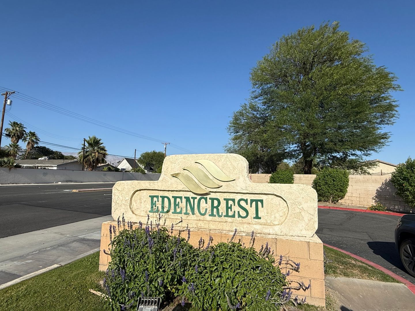 81351 Fred Waring Drive - Unit 215 - Indio - California - 2 bed, 1 bath rental property