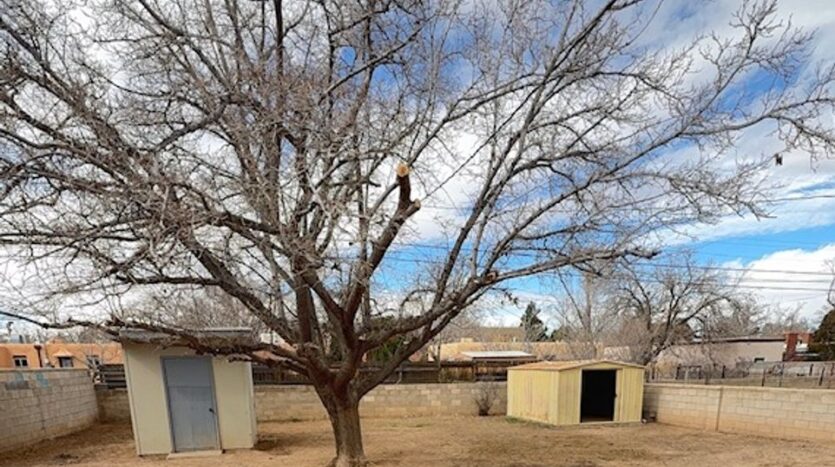 825 Monroe St. NE - Albuquerque - New Mexico - 4 bed, 2 bath rental property