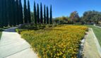 14601 Serenade Dr - Corona - California - 4 bed, 2.5 bath rental property