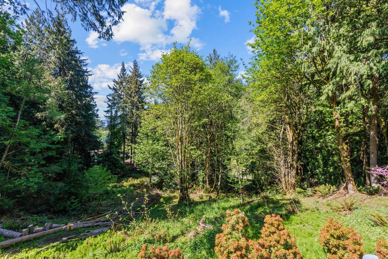 16 Sunflower Cir - Bellingham - Washington - 3 bed, 3 bath rental property