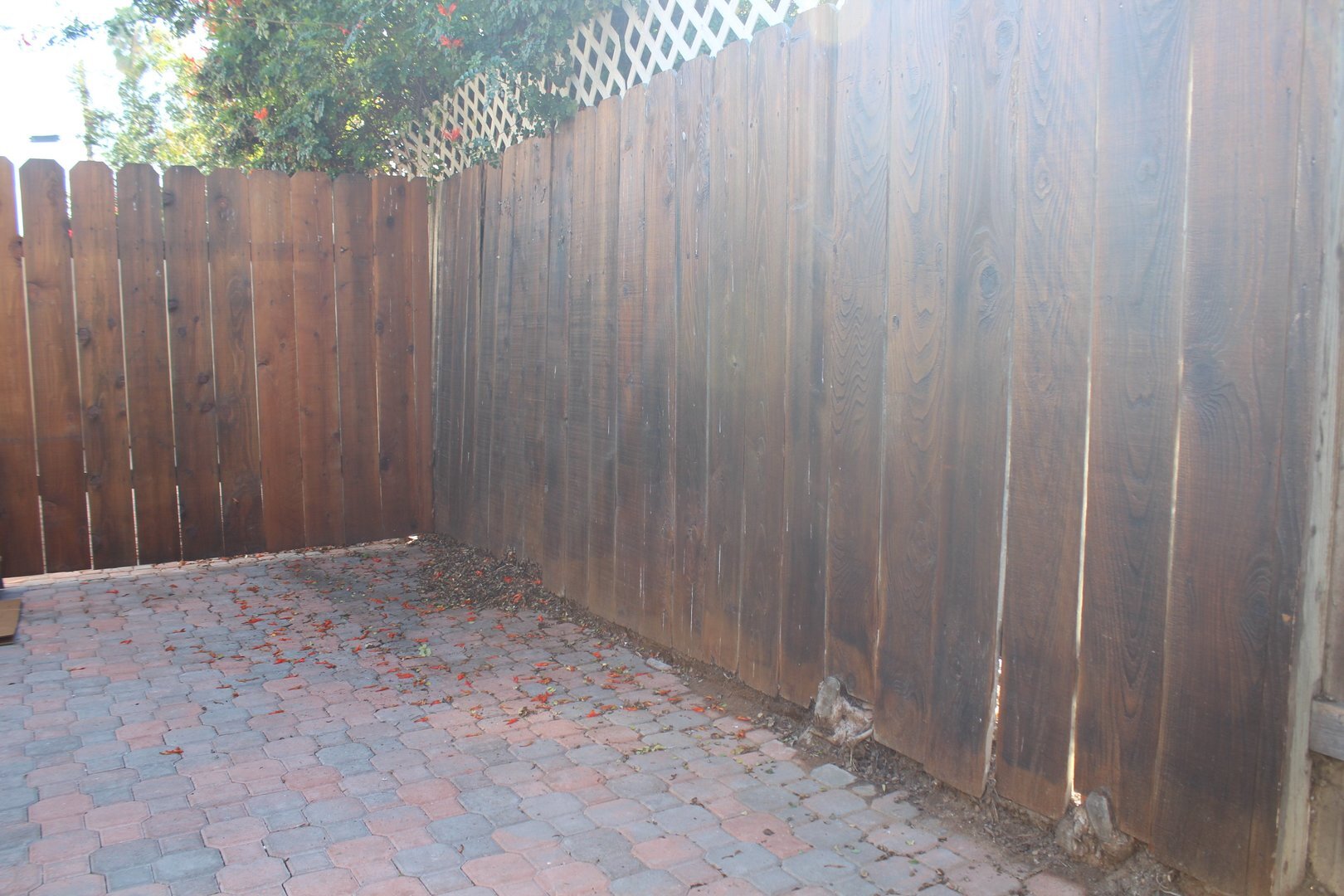 1617-1623 Hornblend Street - San Diego - California - 1 bed, 1 bath rental property