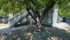 1915 10th Street  Apt 1  - Sacramento - California - 1 bed, 1 bath rental property